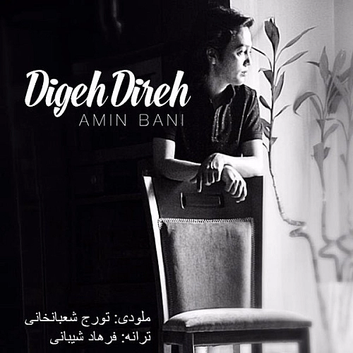 آهنگ جدید امین بانی به نام دیگه دیره